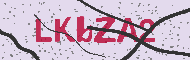 Güvenlik Kodu
