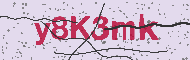 Güvenlik Kodu